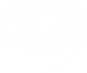 Instituto Ave Maria Educacional